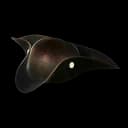 Tricorne