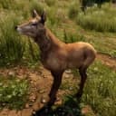 Doe in 7 Days to Die