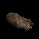 Bear — the game's sleeper-block icon