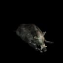 Boar — the game's sleeper-block icon