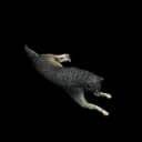 Wolf — the game's sleeper-block icon