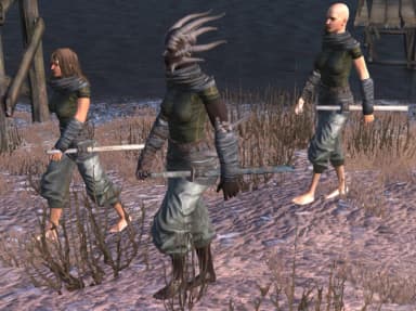Flotsam Ninjas — Kenshi faction banner