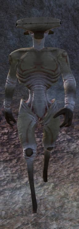 Hive Soldier Drone — Kenshi race