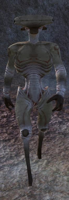 Hive Soldier Drone — Kenshi race portrait