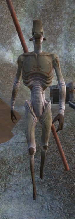 Hive Worker Drone — Kenshi race