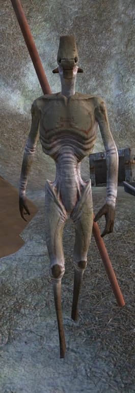 Hive Worker Drone — Kenshi race