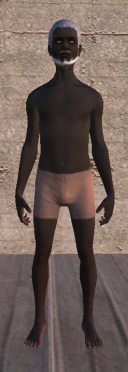 Scorchlander — Kenshi race