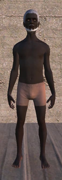 Scorchlander — Kenshi race