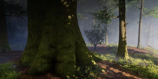 Revelwood biome