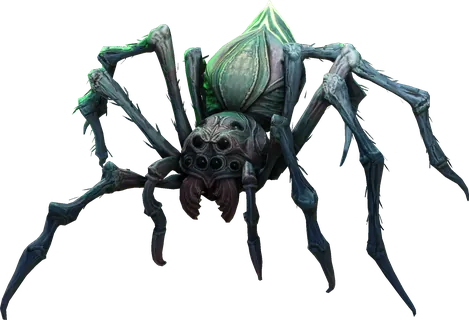 Spider