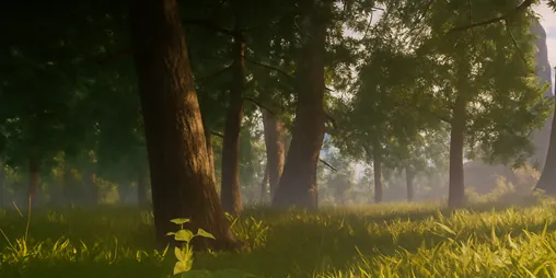 Springlands, the region you start in