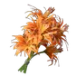 Daylily icon