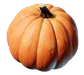 Pumpkin — Enshrouded crafting material