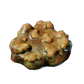 Shroud Mushroom icon