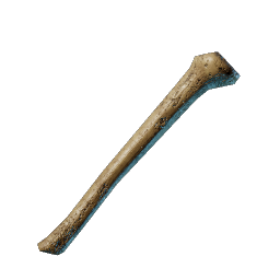 Bones icon