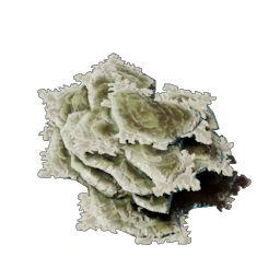 Brittle Shroud Flakes icon