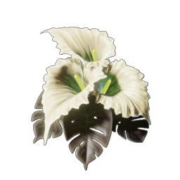 Calla Luna icon
