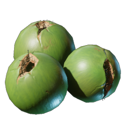 Coconut item icon — Enshrouded Consumables