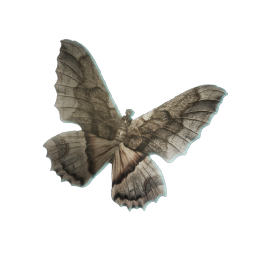 Moth item icon — Enshrouded Fishing Baits