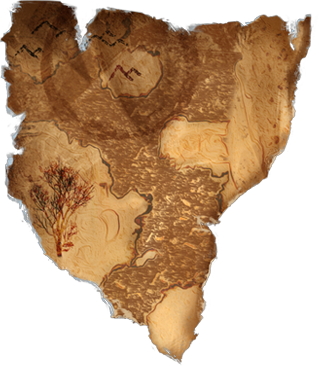 Ony's Map Piece icon