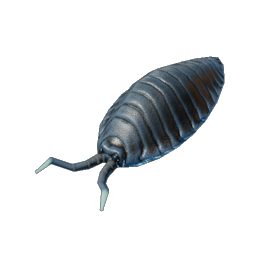 Pillbug icon