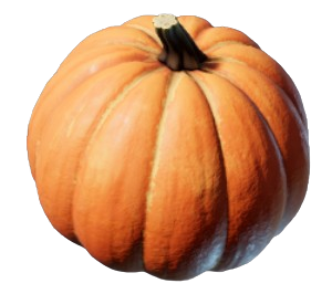 Pumpkin icon