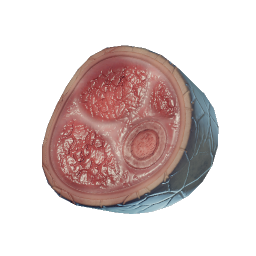 Raw Dune Armadillo Meat icon