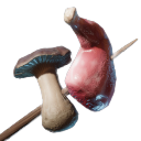 Raw Meat and Mushroom Skewer — Enshrouded crafting material