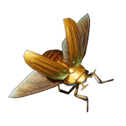 Scarab icon