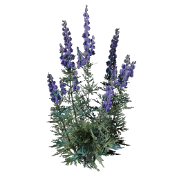 Wolfsbane — Enshrouded crafting material