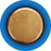 Intelligence icon