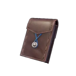 Small Pouch