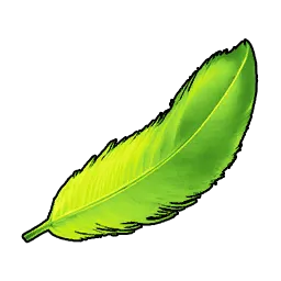 Tocotoco Feather