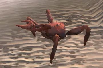 Crab in Kenshi