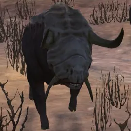 Wild Bull in Kenshi