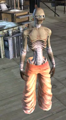 Finch in Kenshi