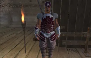 High Inquisitor Seta in Kenshi