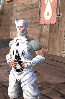 Holy Lord Phoenix in Kenshi