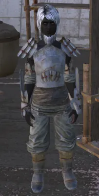Koin in Kenshi