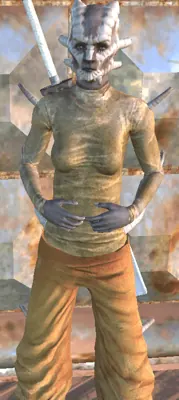 Lady Sanda in Kenshi