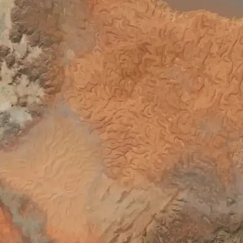 Map of the area around Stone Camp in Kenshi