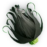 Black Colorflower
