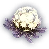 Lumbloom Seeds