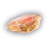 Bug Fossil
