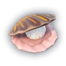 Clam