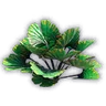 Fan Bush Sprout