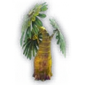 Glo Tree Sprout