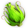 Green Colorflower