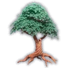 Large Green Tree Sprout