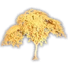 Yellow Tree Sprout